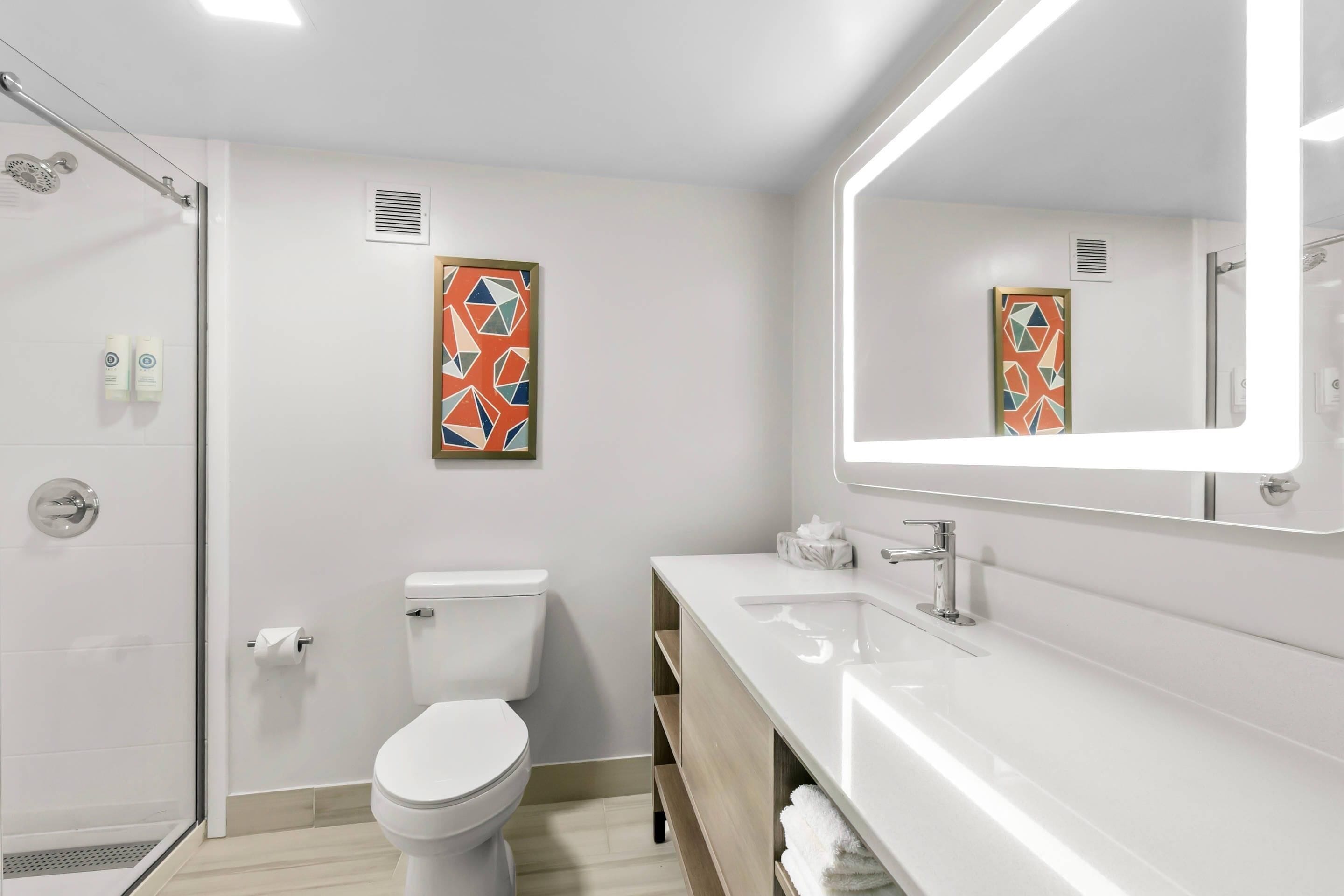 A modern bathroom with a glass shower enclosure, a white toilet, a large mirror, and a white sink.