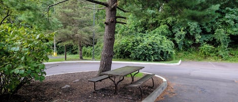 Un parque con una mesa de picnic y bancos, rodeado de árboles y una carretera.