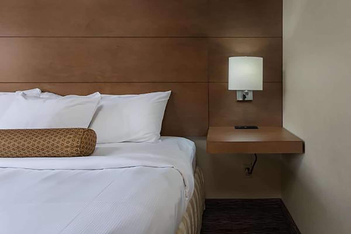 combined shower/bathtub, free toiletries, hair dryer, towels