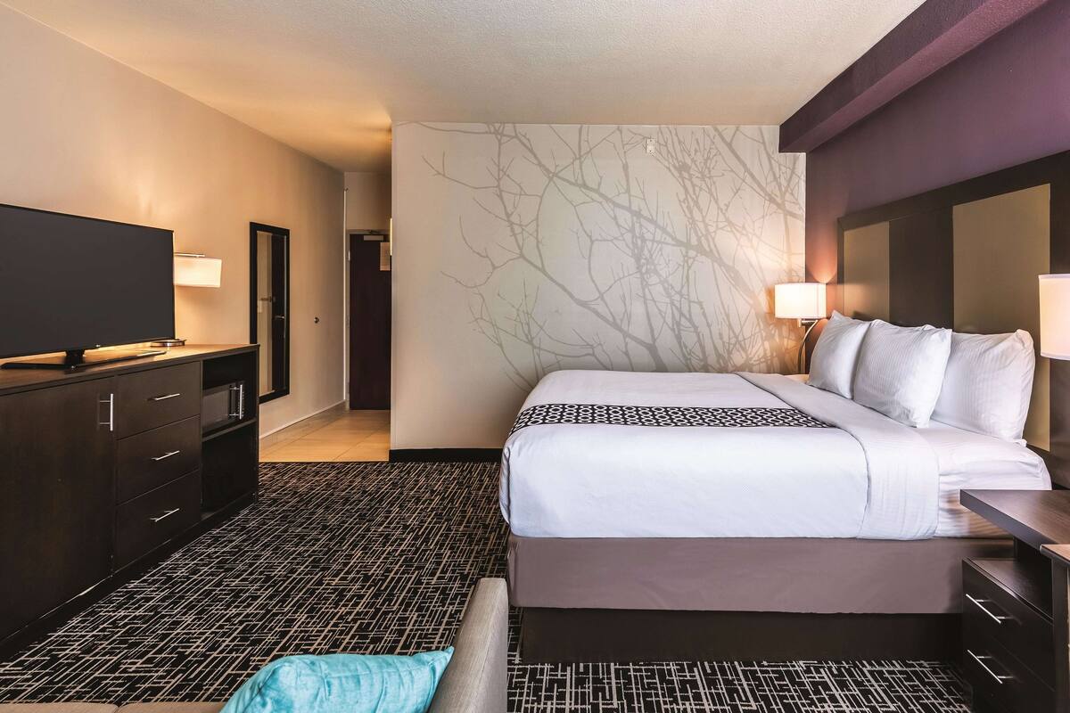 A hotel room with a bed, a TV, a dresser, and a wall with a tree branch design.