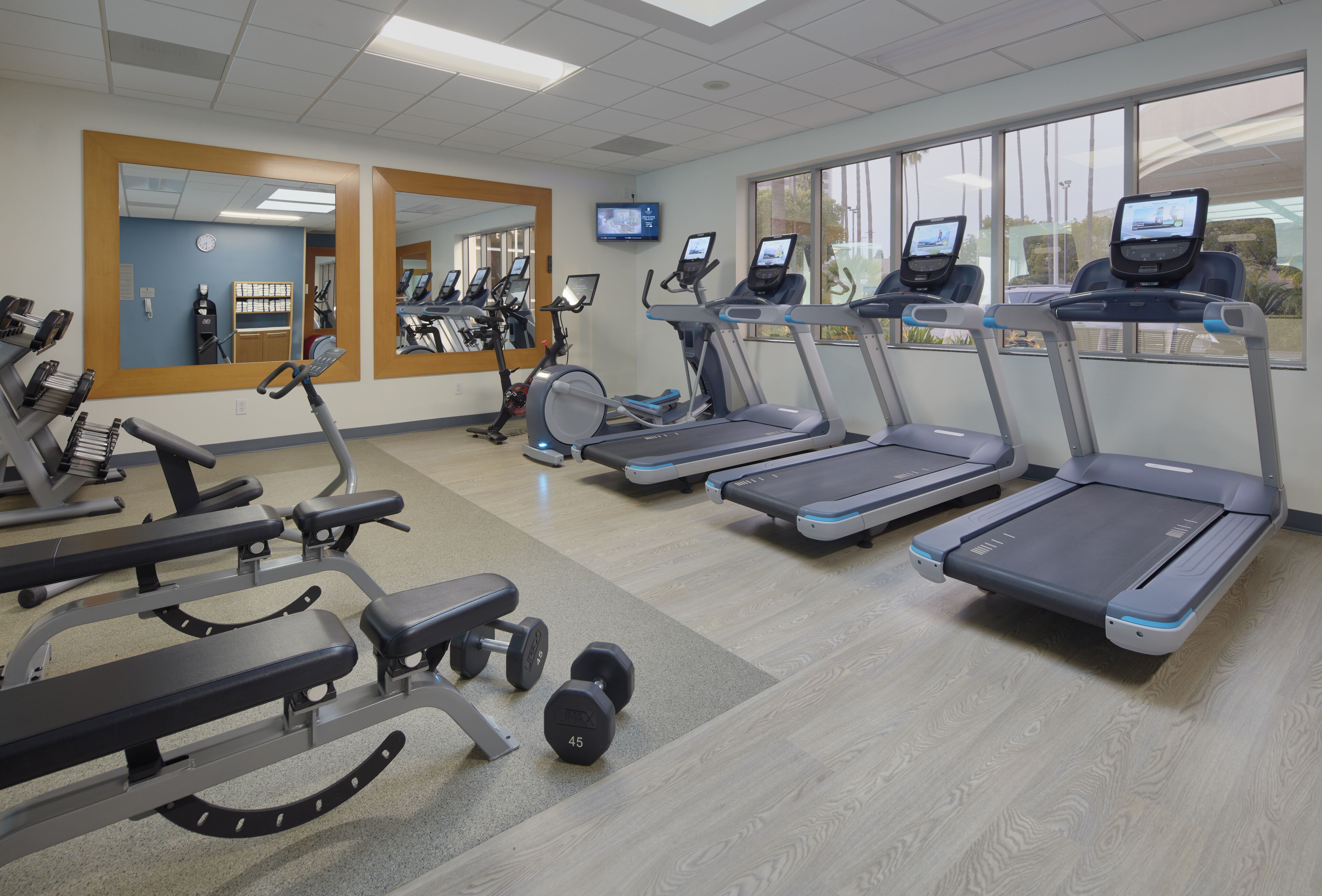 Un gimnasio con cintas de correr, máquinas de pesas y mancuernas.