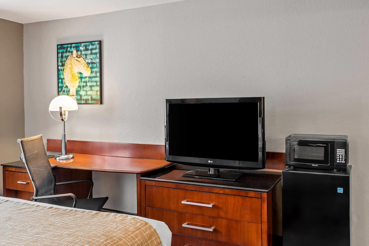A hotel room with a bed, a desk with a television, a chair, a lamp, and a refrigerator.