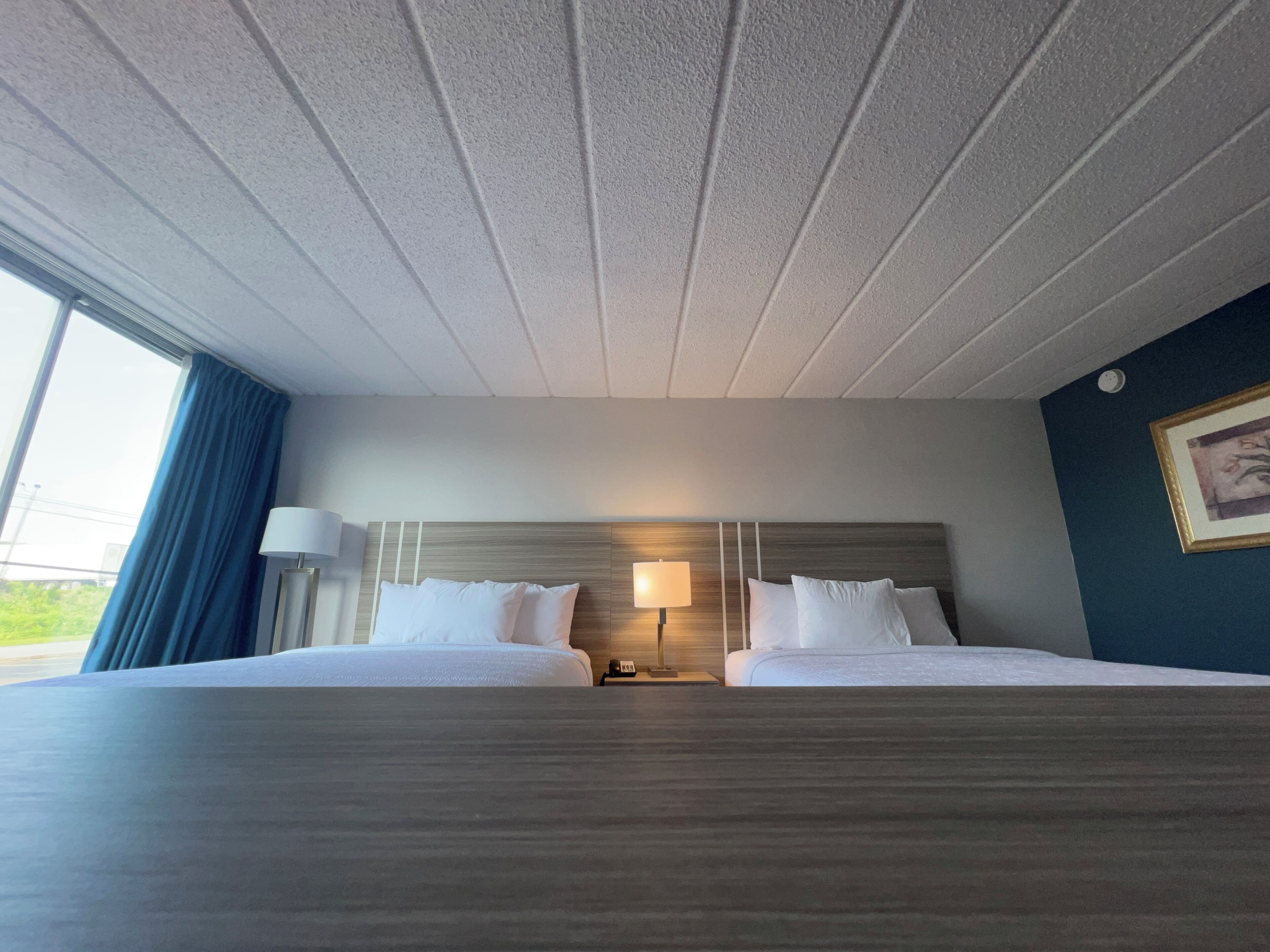 Habitación de hotel con dos camas, una mesita de noche, una lámpara y vistas a zonas verdes.
