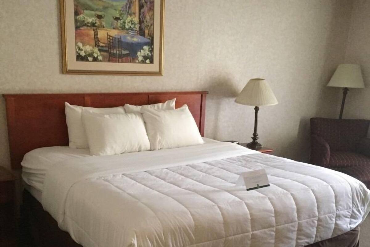 A neatly made bed with a headboard, a bedside table with a lamp, and a framed painting on the wall.