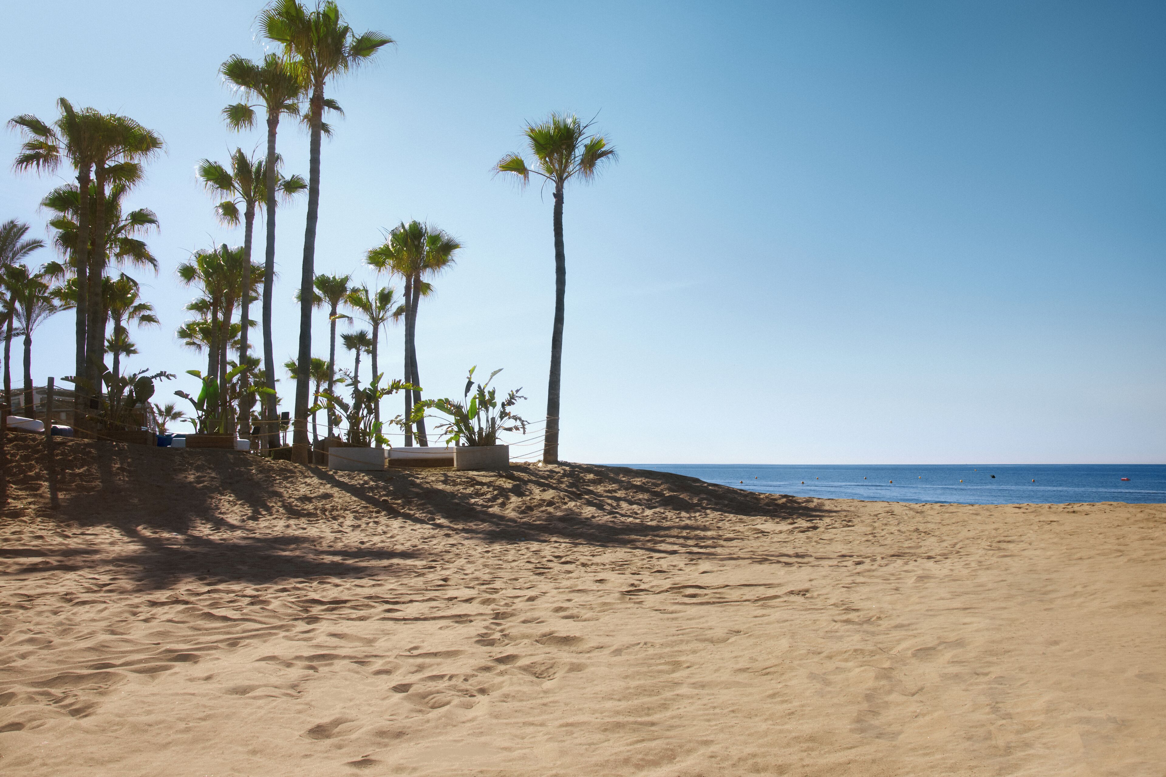 On the beach, sun loungers, beach umbrellas, beach towels