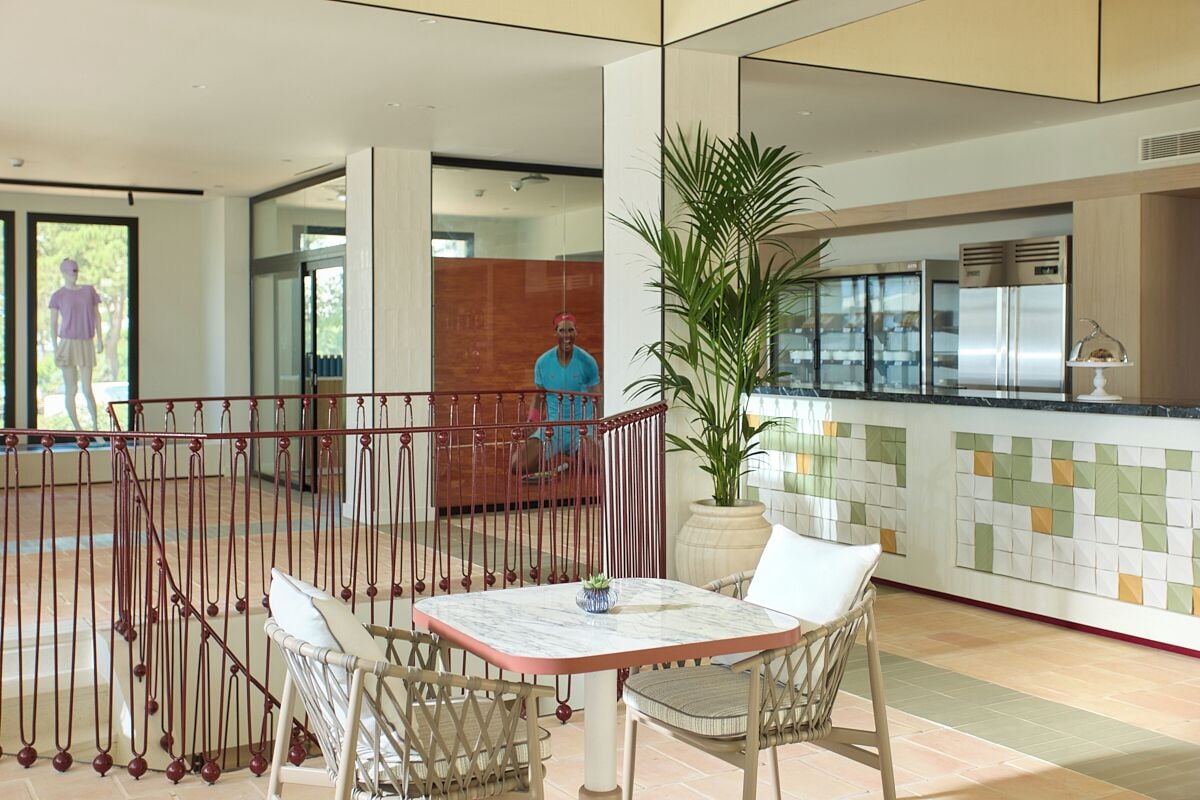 A modern interior with a dining area featuring a table and chairs, a kitchen with stainless steel appliances, and a large potted plant.
