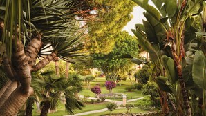 Un exuberante jardín con un estanque, palmeras y una gran variedad de plantas.