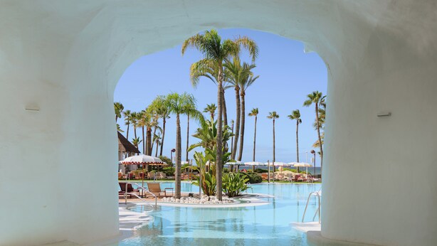 Zona de piscina con palmeras, sillas de descanso y sombrillas.