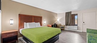 Econo Lodge Kannapolis - Concord