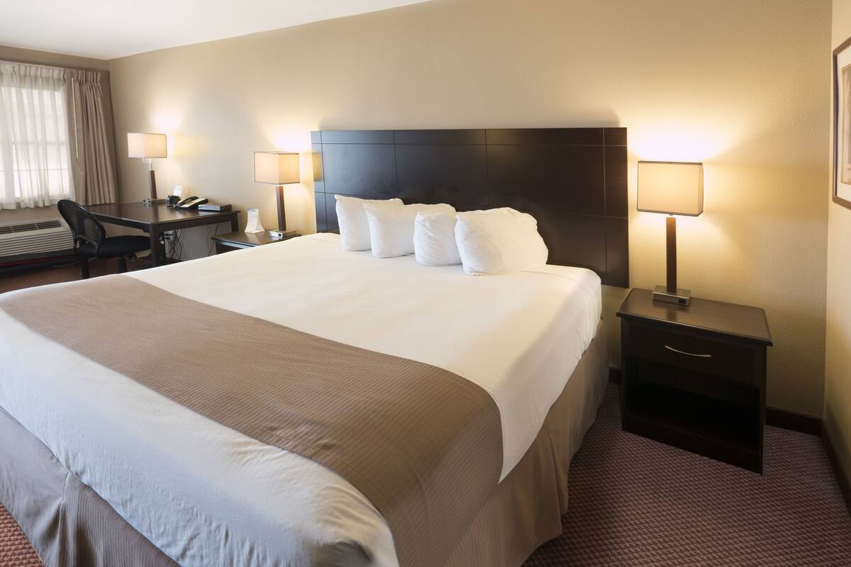 Room, 1 King Bed, Non Smoking | View from room
