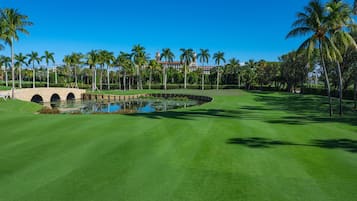 Enjoy a round of golf on our lush fairway, surrounded by palm trees and a serene water hazard.