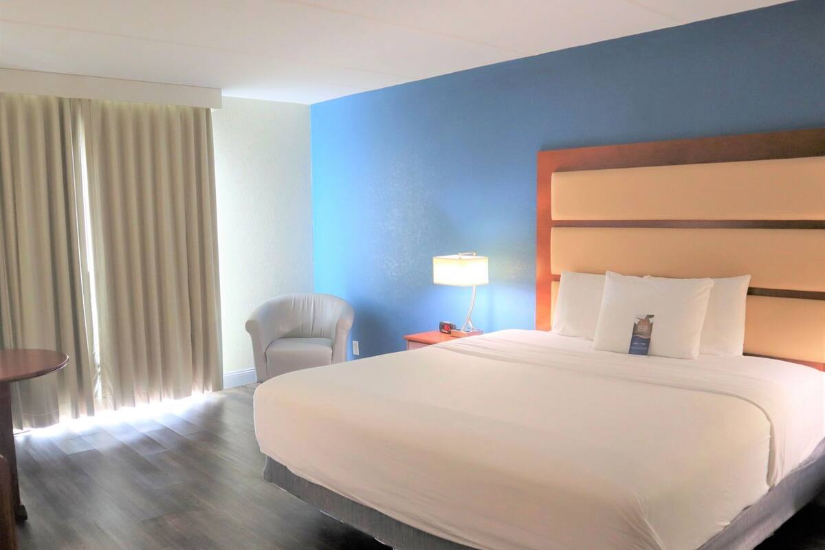 Une chambre d’hôtel avec un grand lit, une chaise, une table de chevet avec une lampe et une vue sur l’extérieur par une fenêtre munie de rideaux.