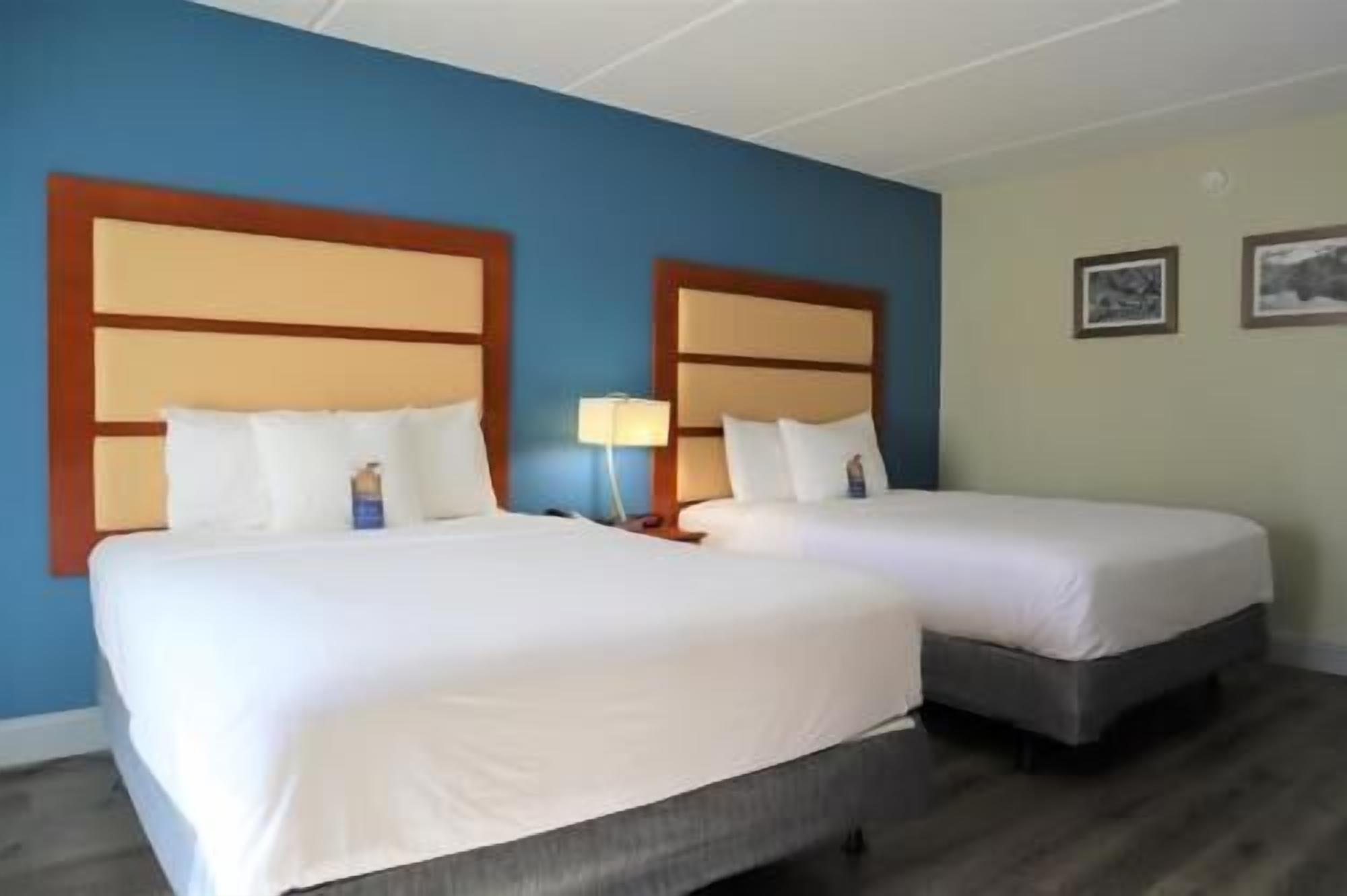 Ropa de cama de alta calidad, escritorio y insonorización 
