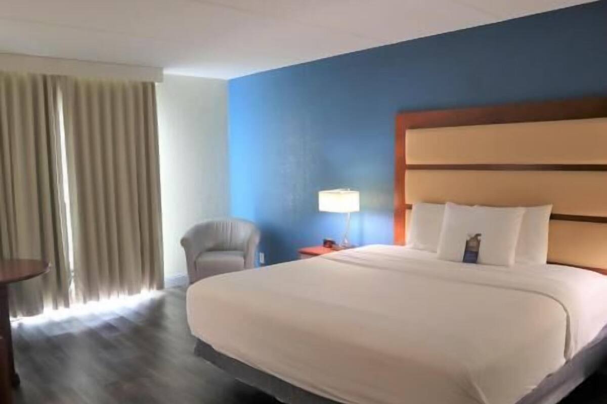 Ropa de cama de alta calidad, escritorio y insonorización