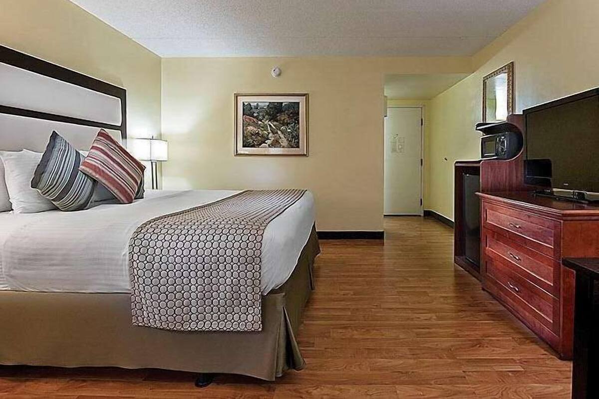 Une chambre d’hôtel avec un lit, une commode, une télévision et un tableau encadré au mur.