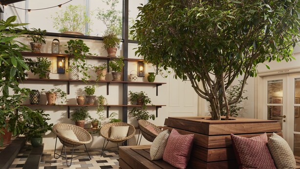 Una sala de estar acogedora con un banco de madera, sillas de mimbre y una variedad de plantas en macetas sobre estantes.