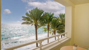 Beach/ocean view