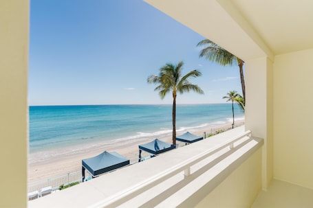 Vista desde la habitación