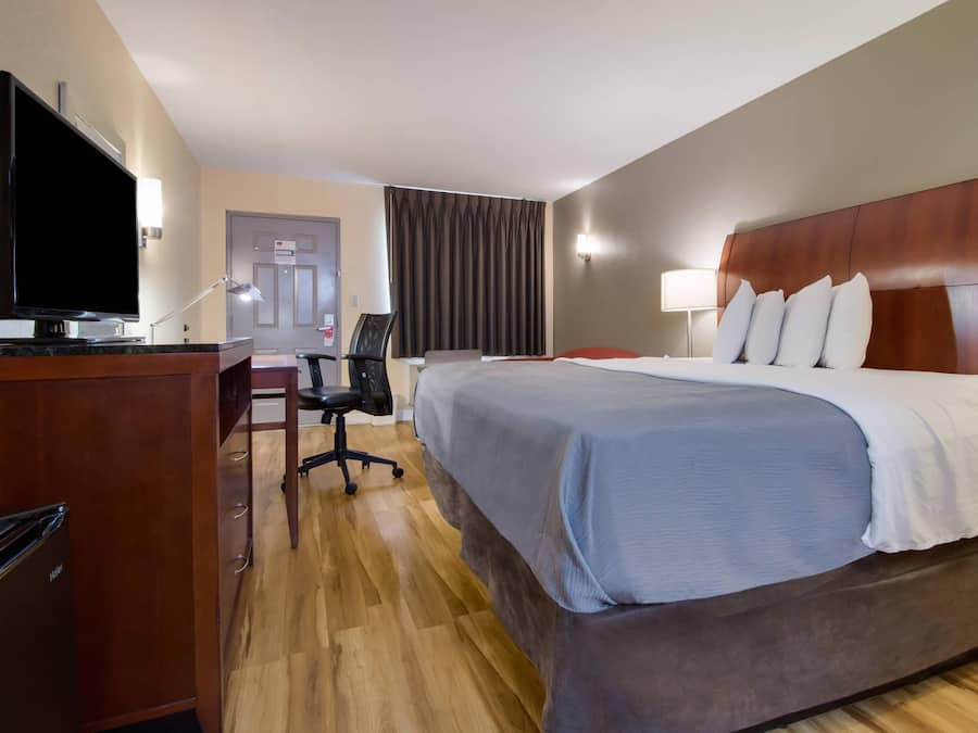 Individually decorated, individually furnished, iron/ironing board