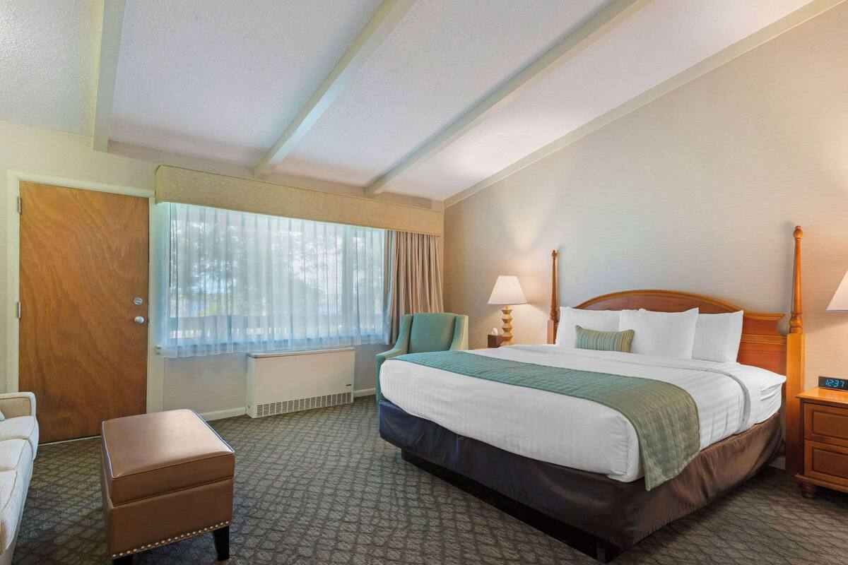 room, 1 king bed with sofa bed, non smoking, jetted tub | desk, iron/ironing board, free wifi, bed sheets