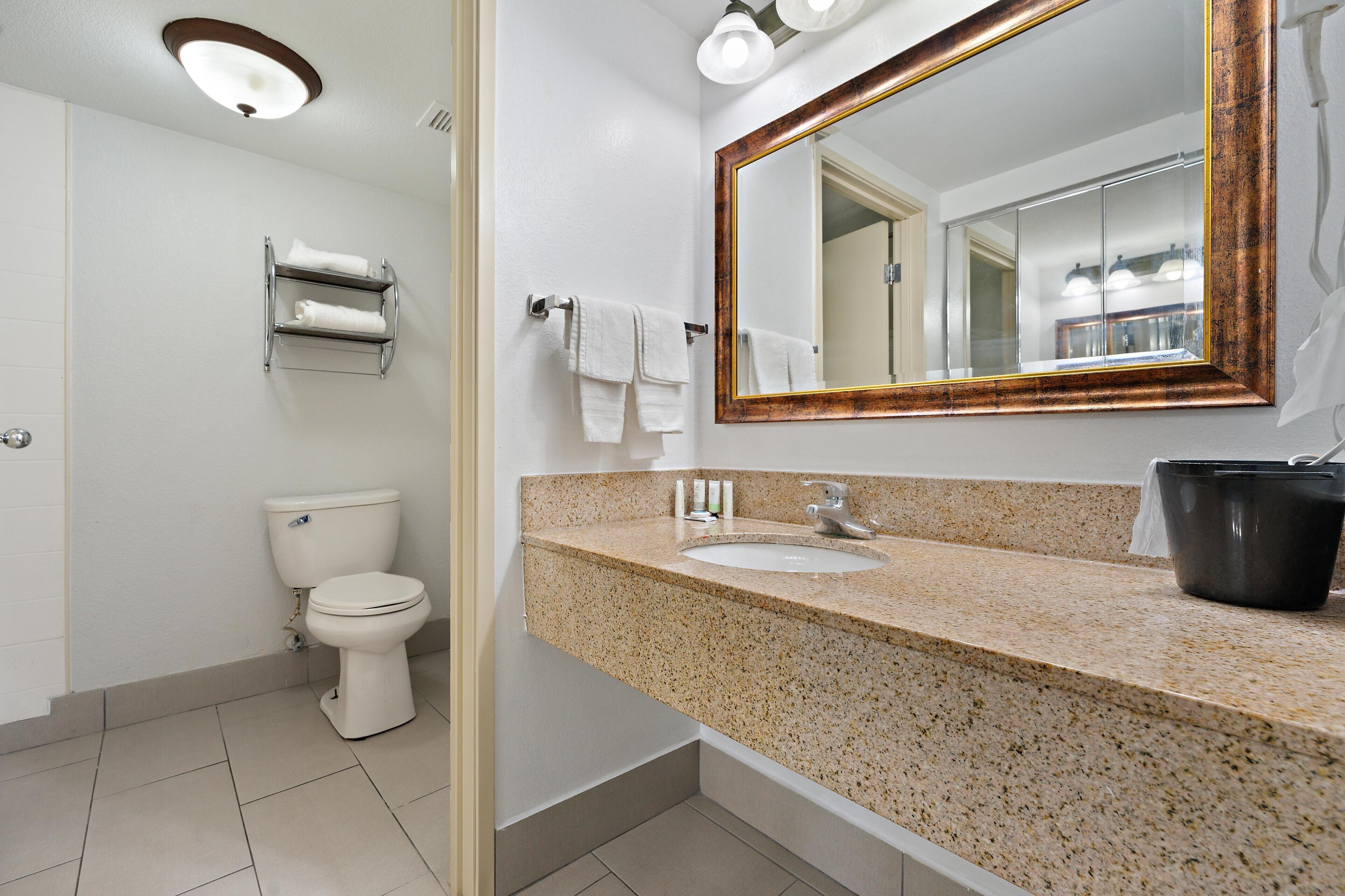 A bathroom with a toilet, sink, mirror, towel rack, and a trash bin.