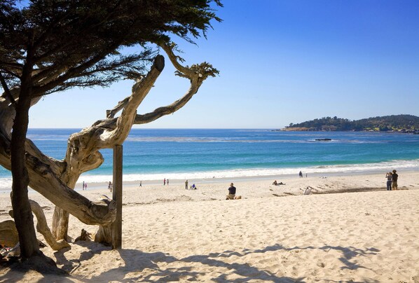 Plage à proximité