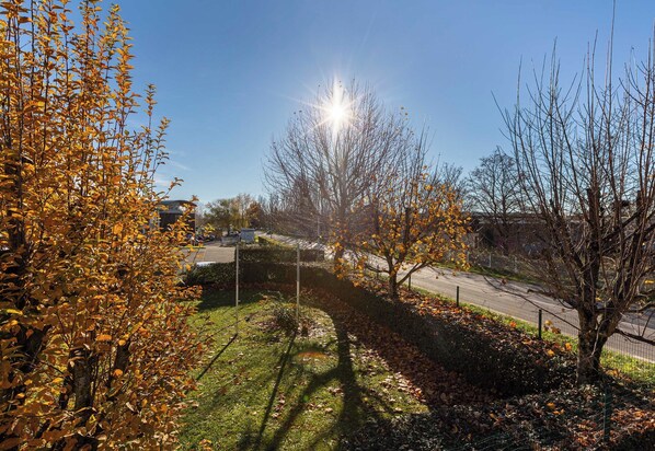 Garden view