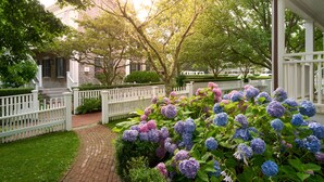 A garden with hydrangea bushes, a white picket fence, and a brick pathway leading to a building with a porch. - Harbor View Hotel (Edgartown)