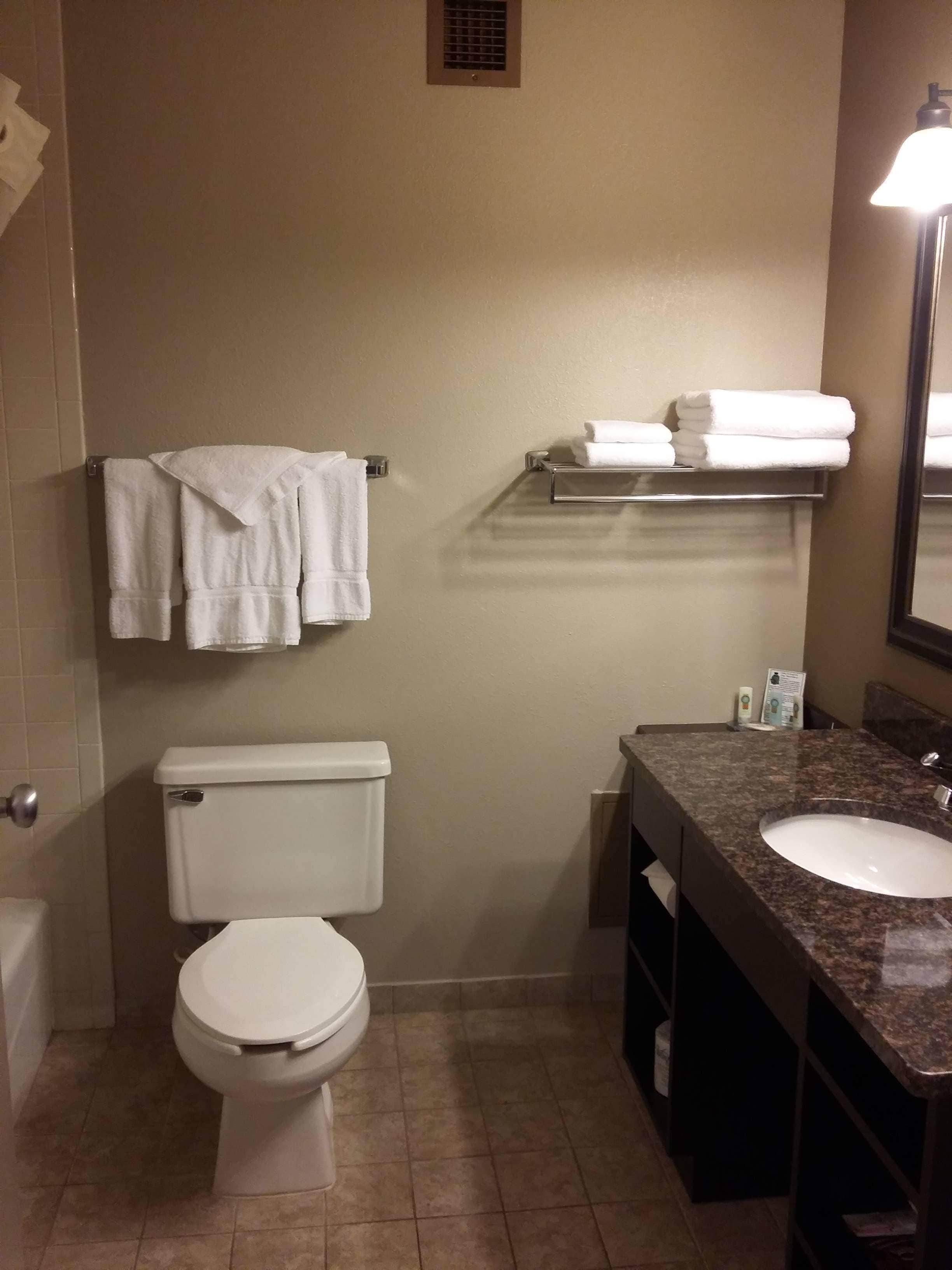 Un baño con inodoro, lavabo y barra para toallas.