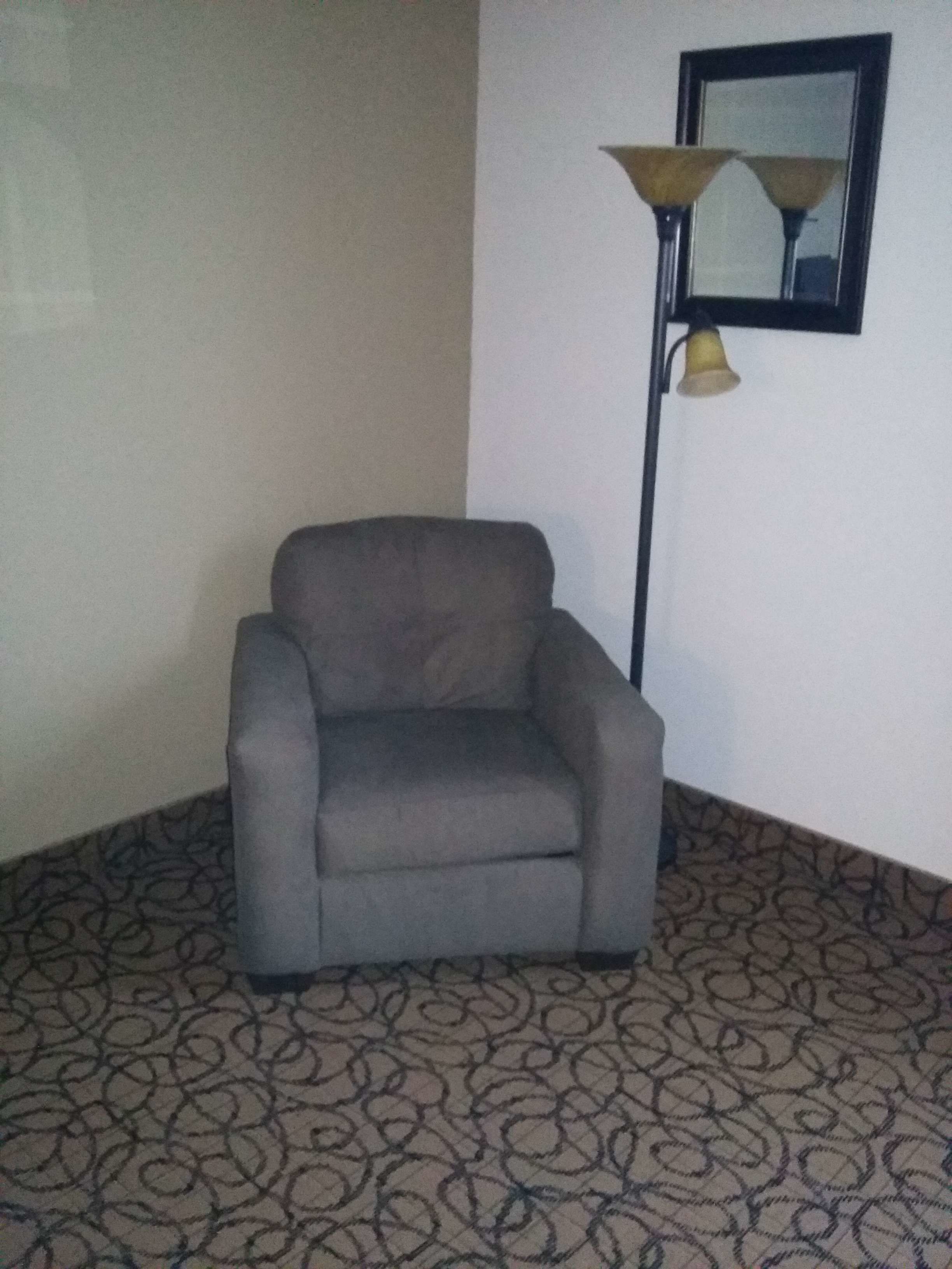 A small, dark-colored armchair in a room with patterned carpet and a floor lamp.