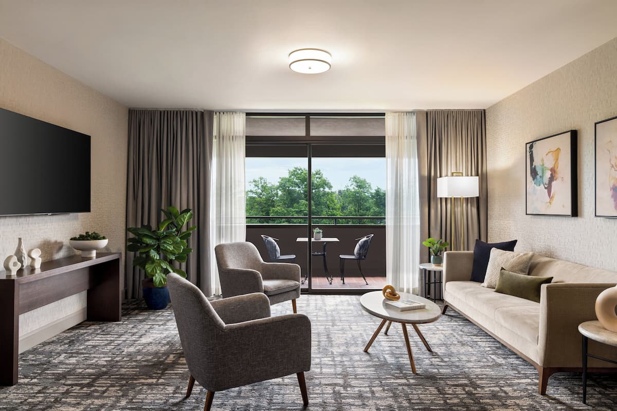 Presidential Single Room, 1 King Bed