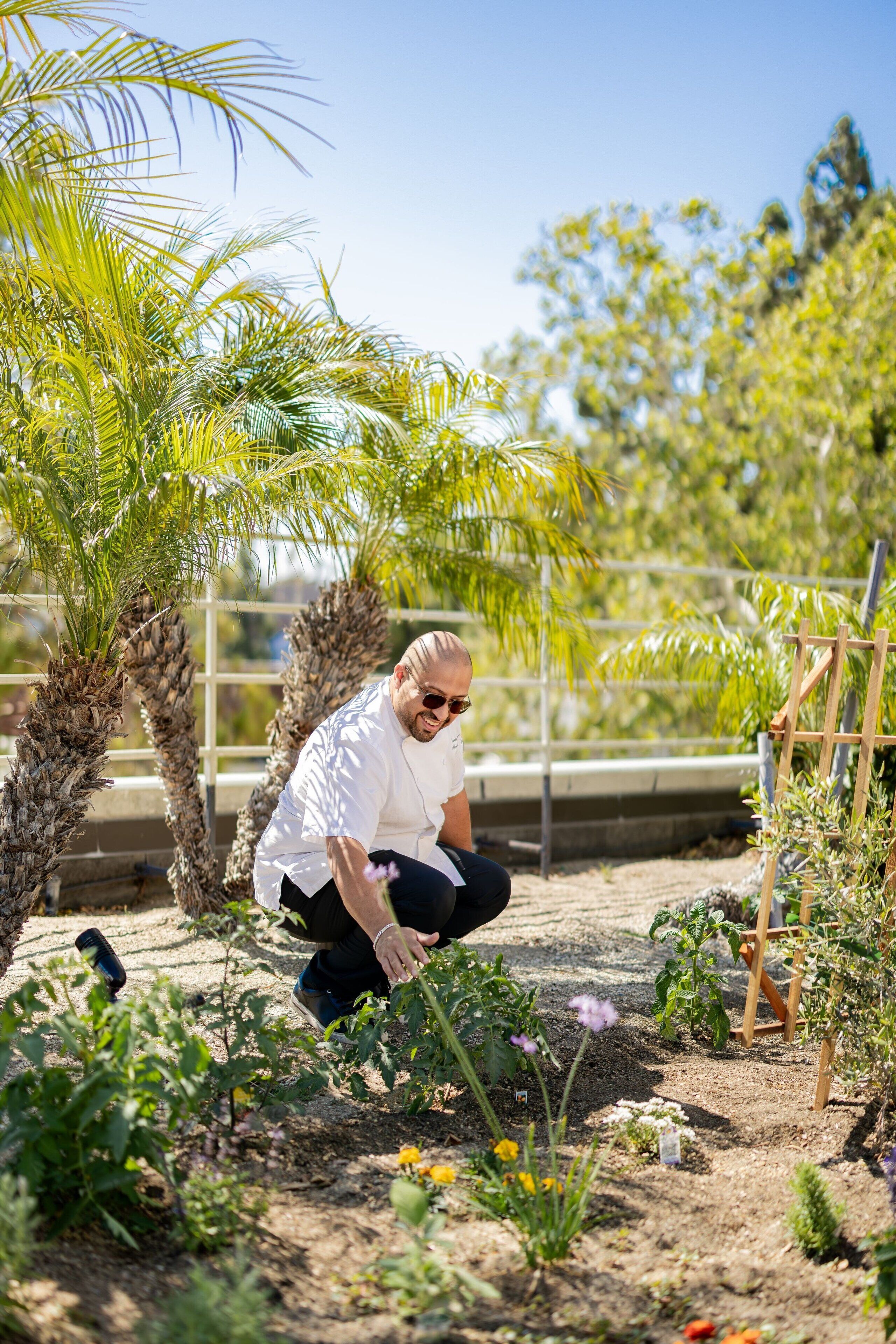 breakfast, lunch, dinner served; american cuisine, al fresco dining