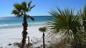 Une plage de sable blanc, avec une eau d’un bleu limpide et des palmiers.
