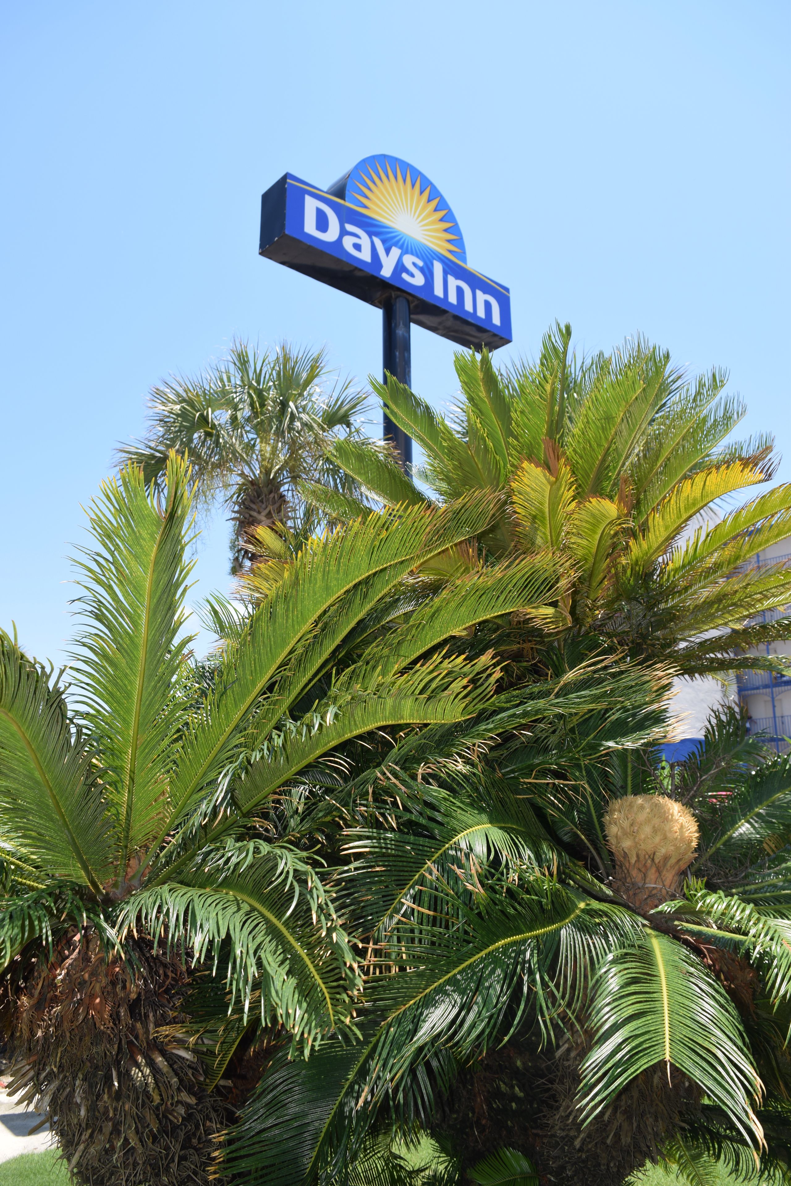 A Days Inn sign with palm trees in the foreground.