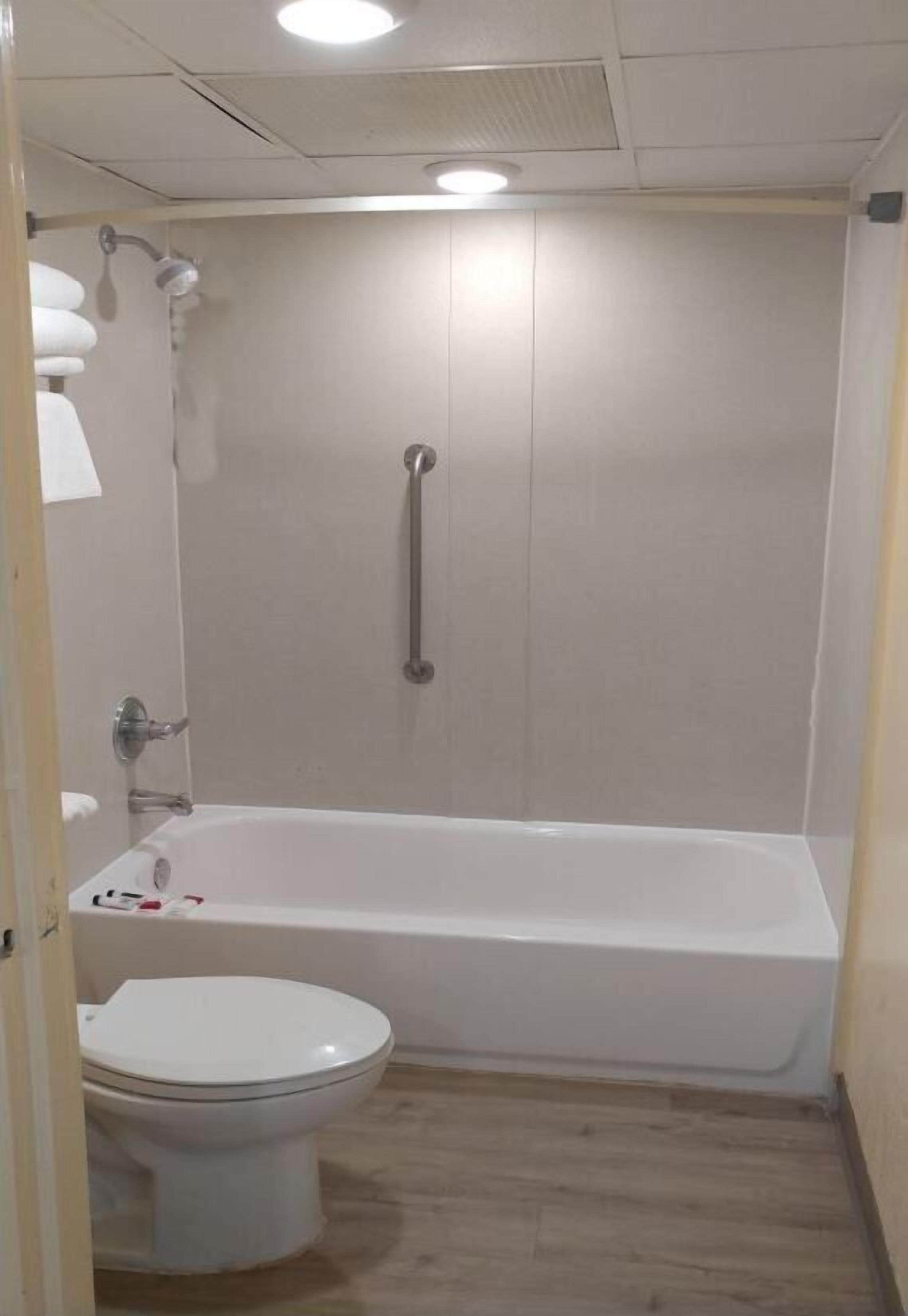 Een badkamer met een wit bad, een toilet en een douche met een greep.