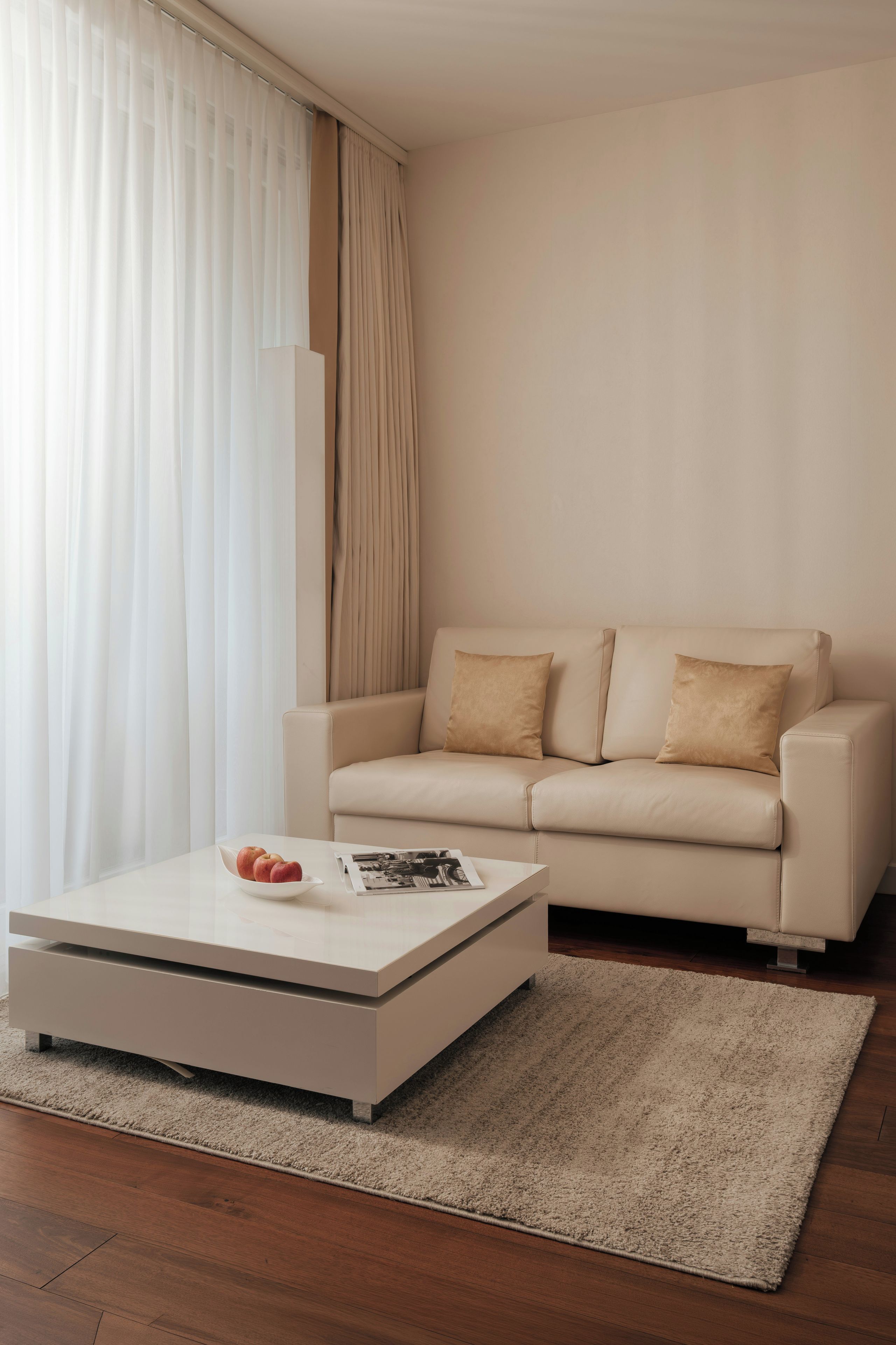 A modern living room with a sofa, coffee table, and a rug.