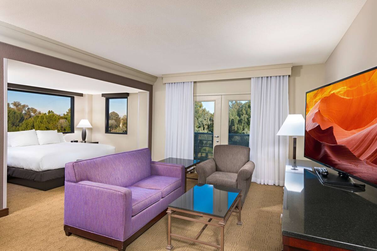 A hotel room with a bed, a purple sofa, a grey armchair, a small table, a TV, and a view of trees through the window.
