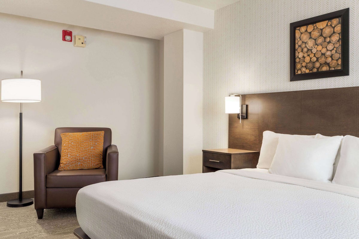 Premium bedding, down duvets, pillow-top beds, in-room safe