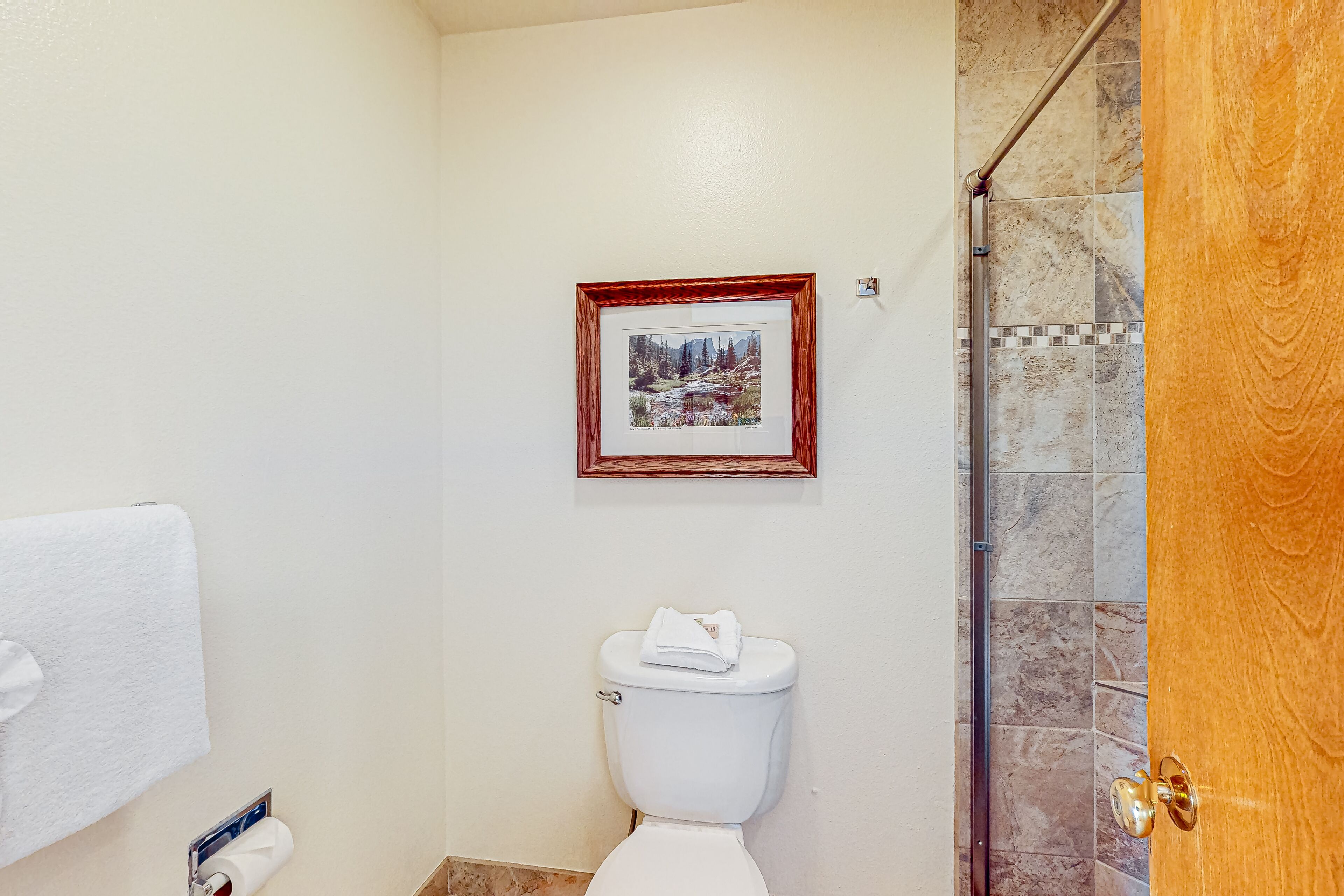 Un baño con inodoro, un cuadro en la pared y zona de ducha.