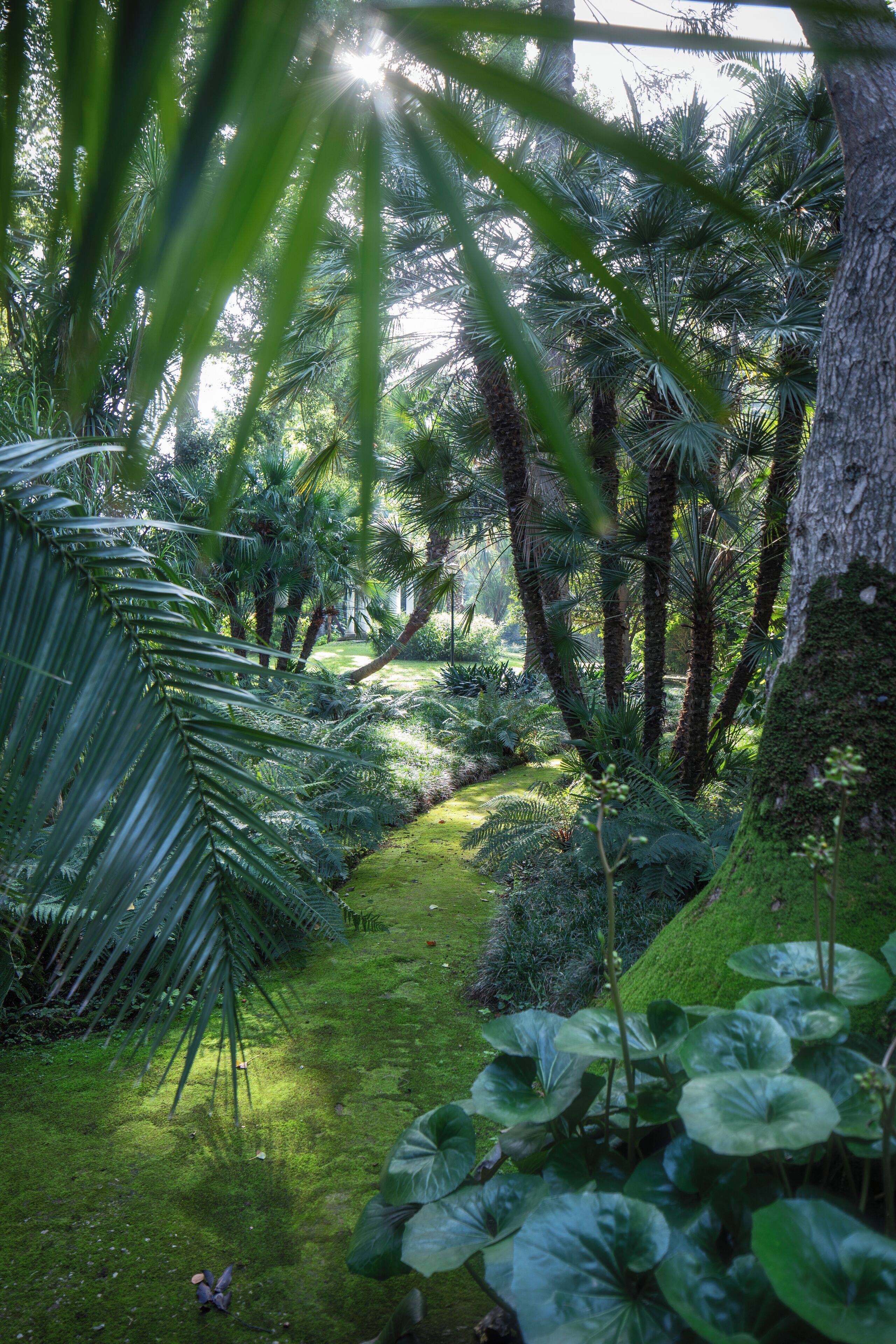 Foto - Parco dei Principi