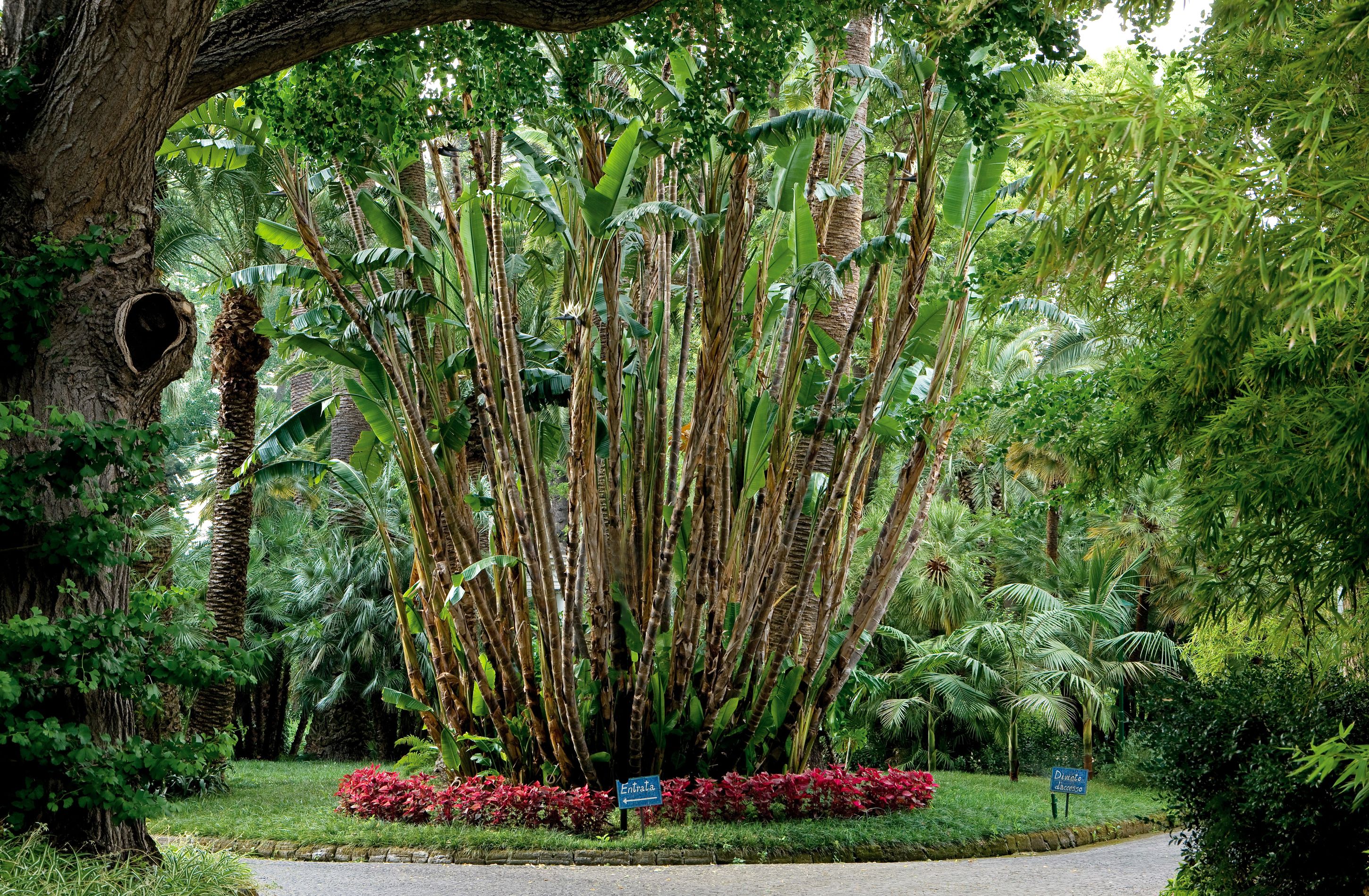 family room, park view | view from room