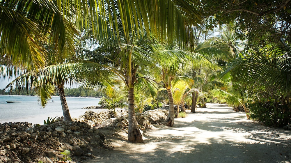 Small Hope Bay Lodge by null