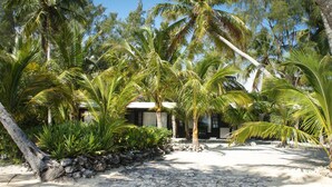 A tropical garden with palm trees and a stone pathway leading to a building. - Small Hope Bay Lodge  (Andros Town)