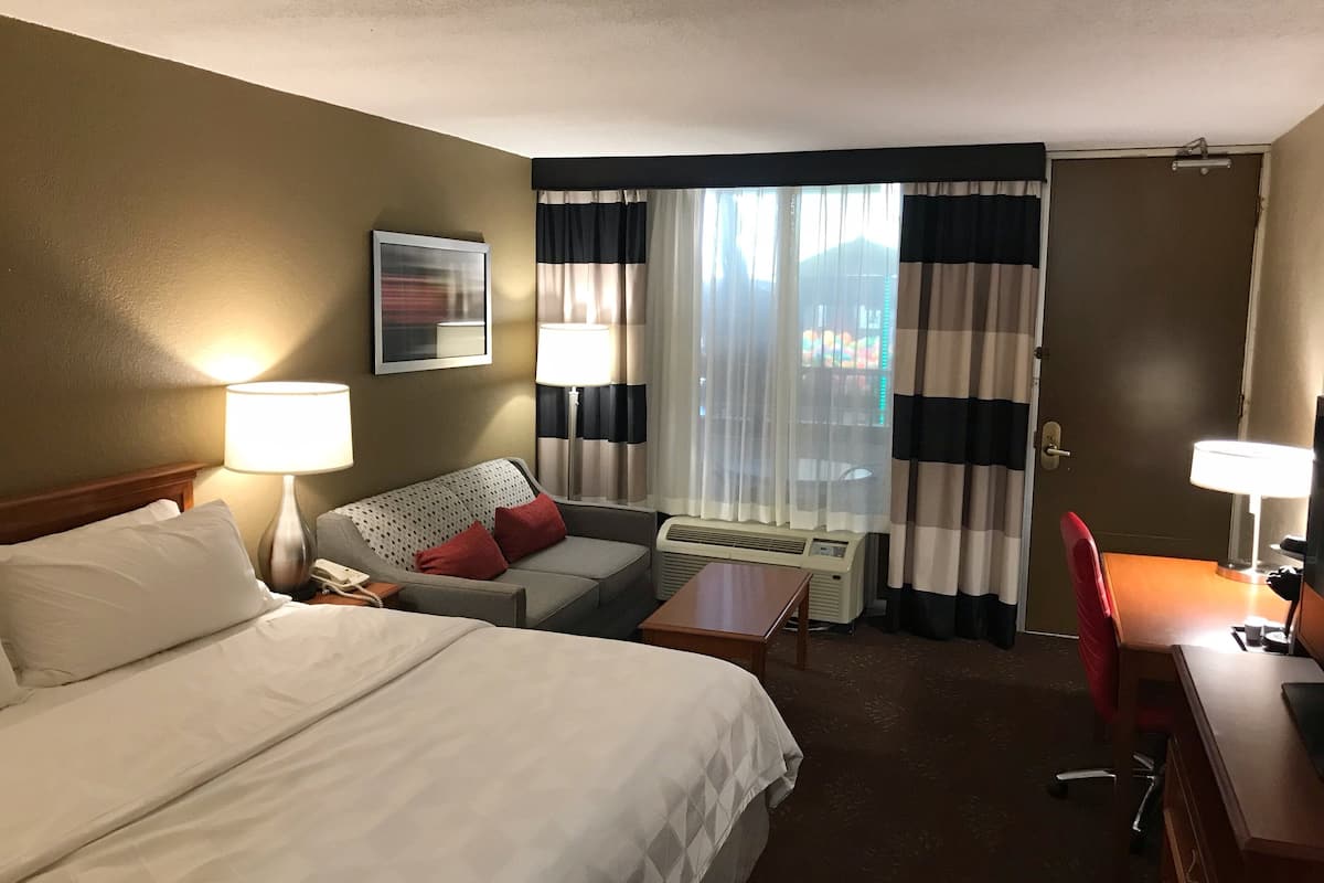 Standard Room, 1 King Bed, Pool View | Premium bedding, desk, blackout drapes, iron/ironing board