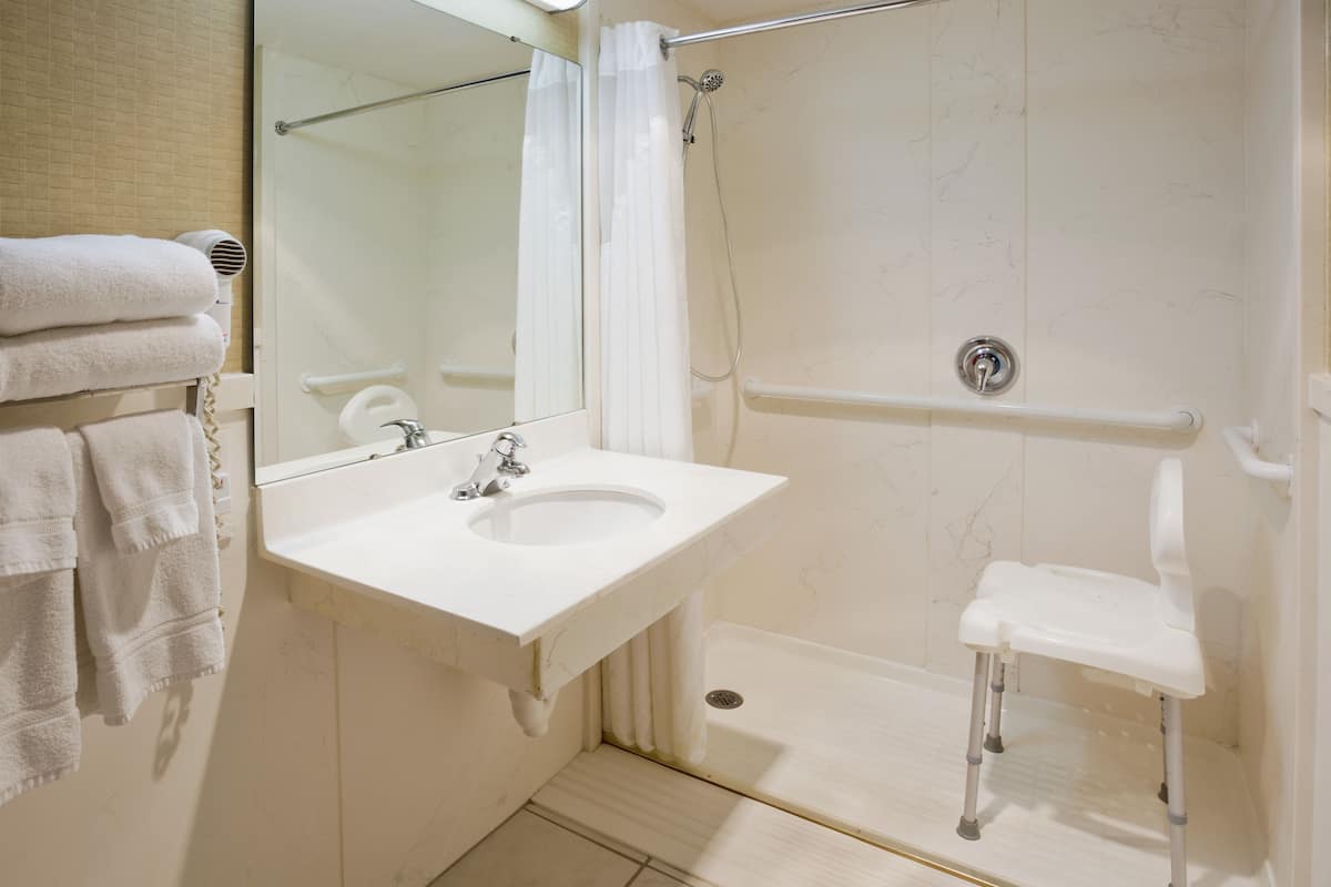 Standard Room, 1 Queen Bed, Mobility Accessible (Roll-In Shower) | Premium bedding, desk, blackout drapes, iron/ironing board