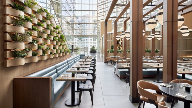 A modern restaurant with a long bench seating area, wooden planters with greenery, and a high ceiling with natural light. - Omni Austin Hotel (Austin)