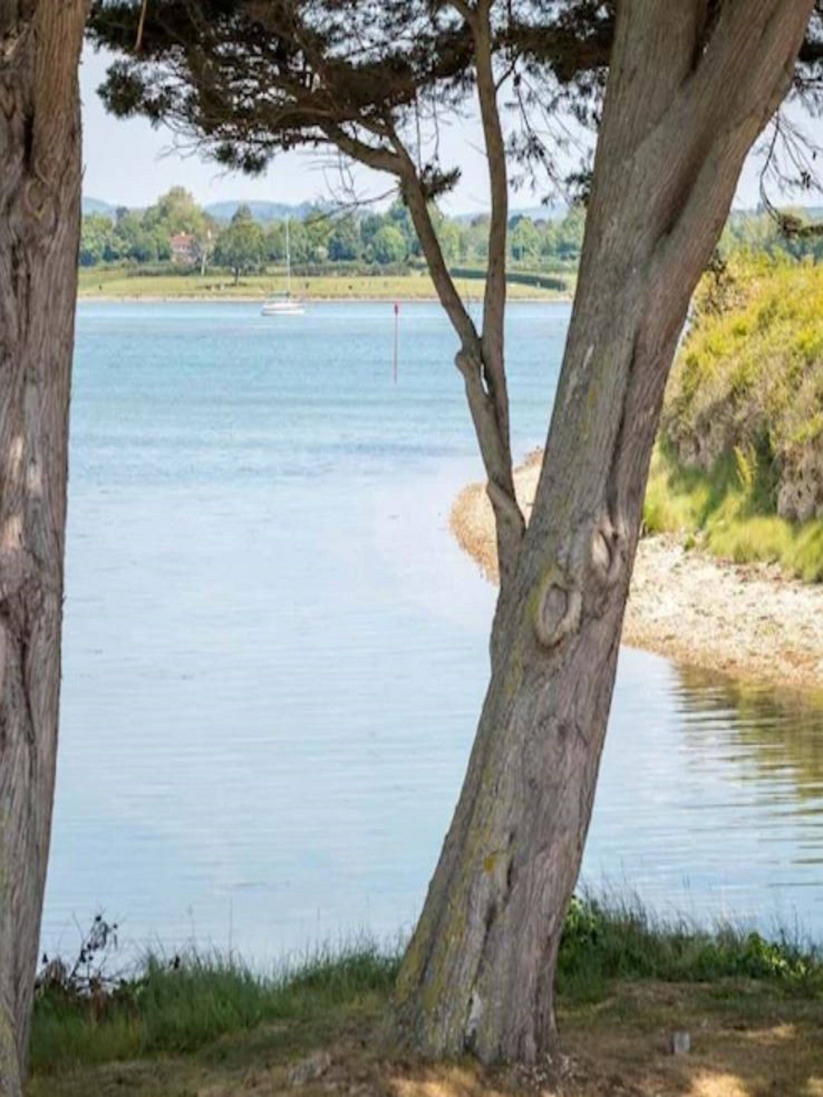 A view of a lake with trees in the foreground and a distant shoreline.