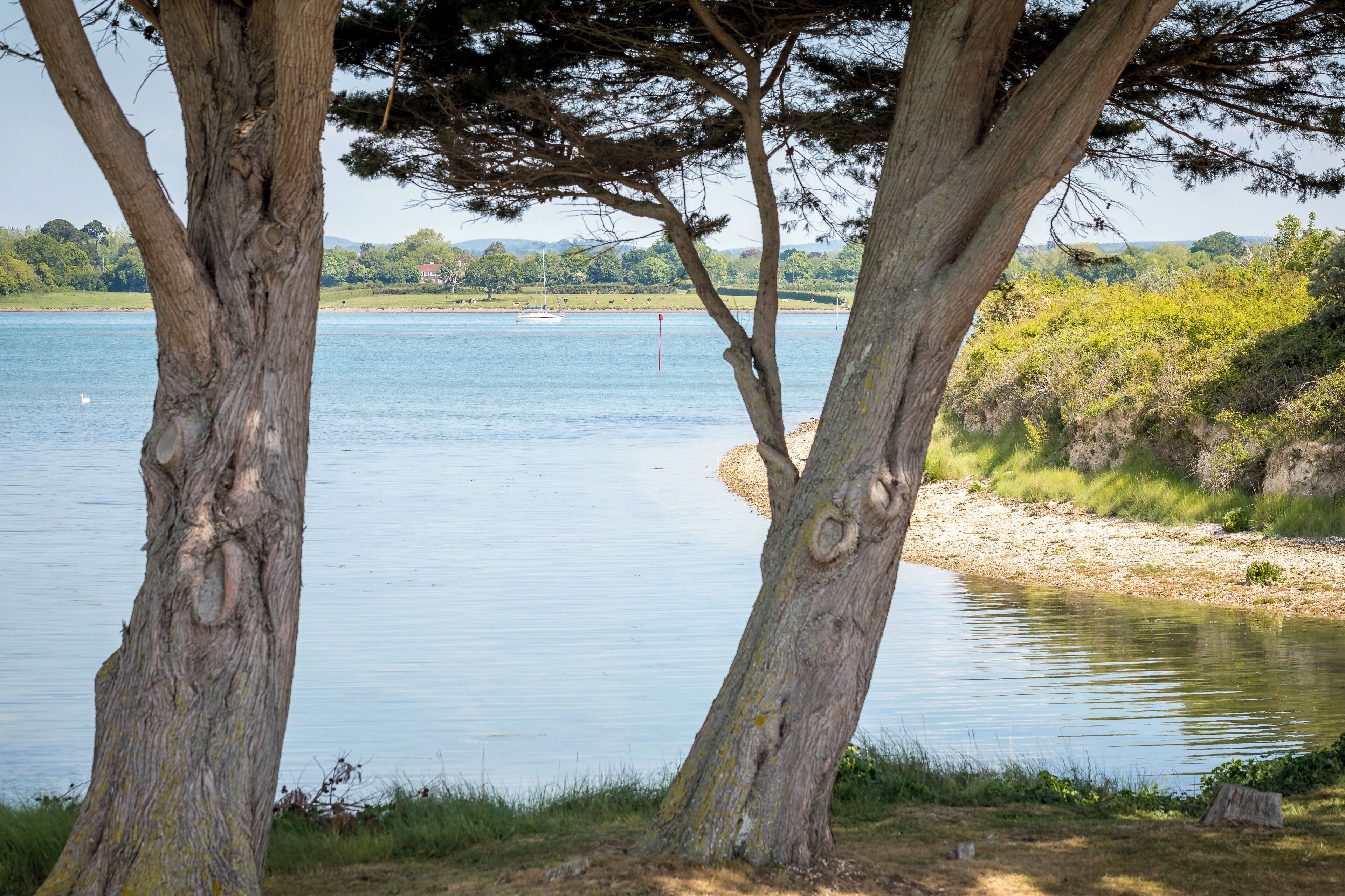 Een rustig meer met bomen op de voorgrond en een huis in de verte aan de oever.