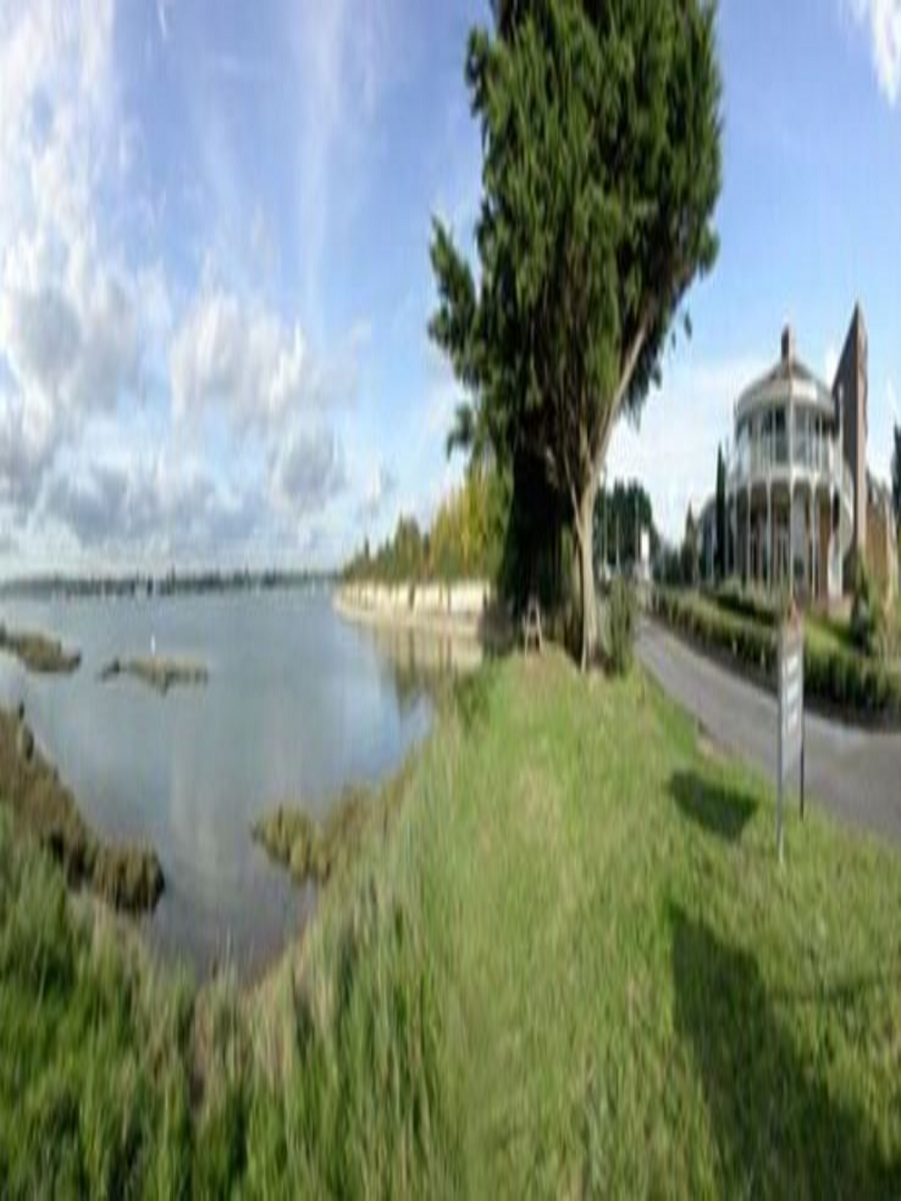 A lakeside view with a large tree, a gazebo, and a building in the background.