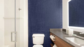 A modern bathroom with a white toilet, a large mirror, and a stainless steel sink.